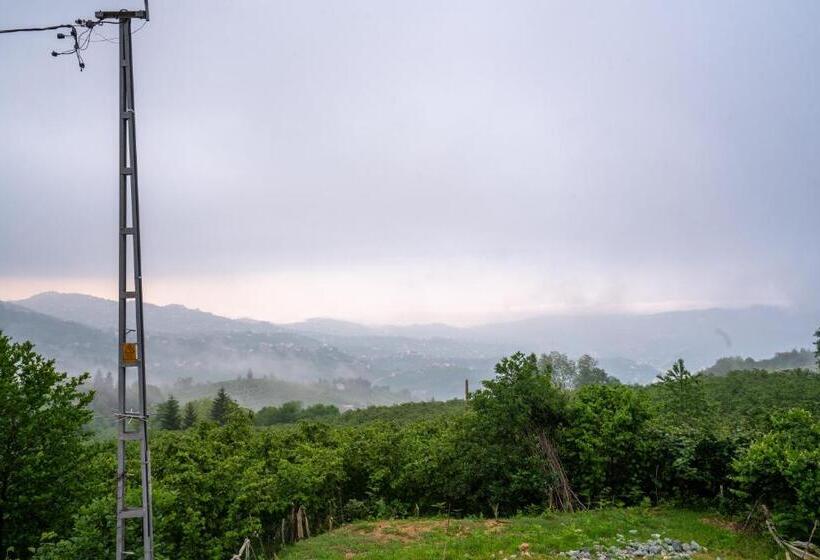 בקתה דלוקס, Poison Garden Sui̇te