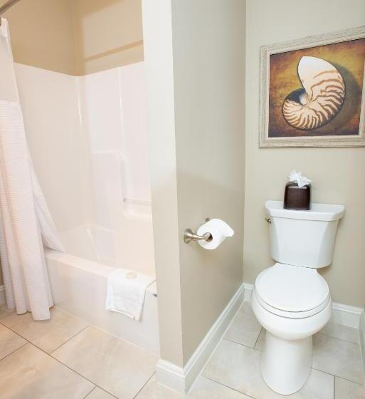 Апартаменты 1 Спальня, 84 Main