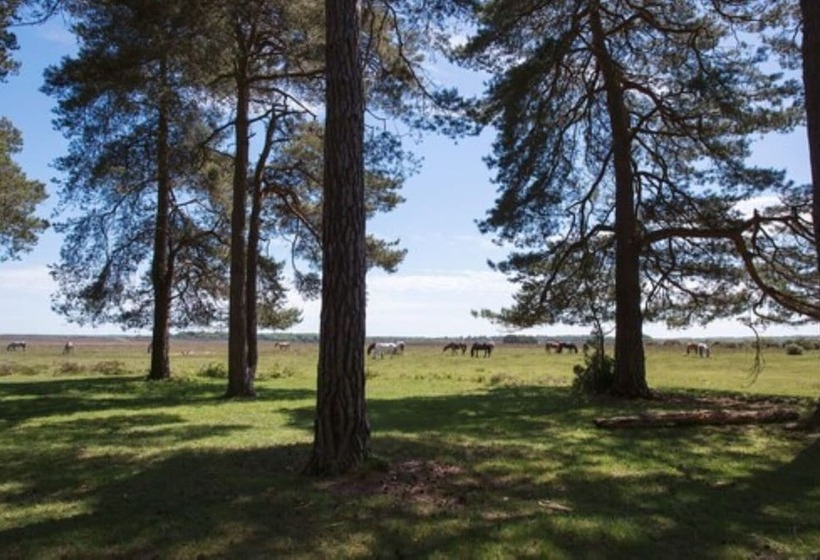 Camera Deluxe, Beaulieu