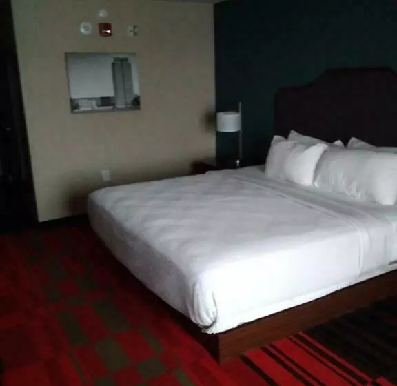 身障者適用キングサイズベッドルーム, Best Western Roosevelt Place