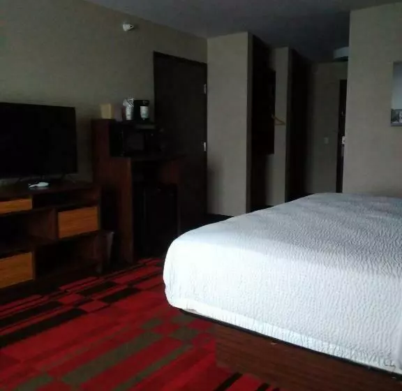身障者適用キングサイズベッドルーム, Best Western Roosevelt Place