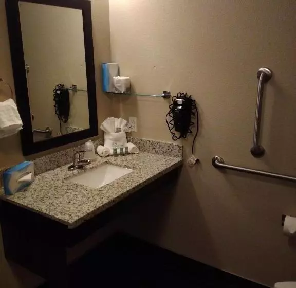 身障者適用スタンダードルーム, Best Western Roosevelt Place