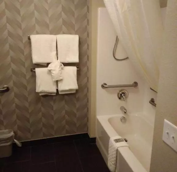 身障者適用スタンダードルーム, Best Western Roosevelt Place