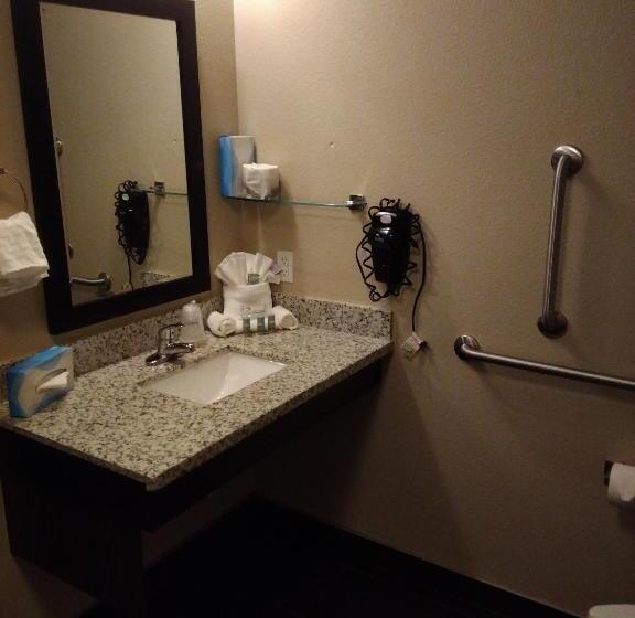 适合残疾人士使用的带超级大床的标准间, Best Western Roosevelt Place