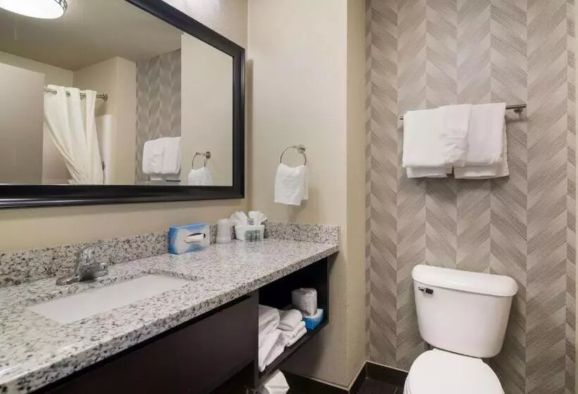 キングサイズベッドのスタンダードルーム, Best Western Roosevelt Place