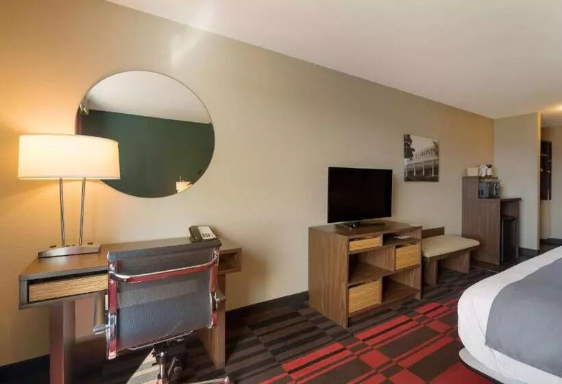 キングサイズベッドのスタンダードルーム, Best Western Roosevelt Place