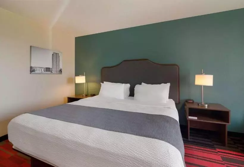 キングサイズベッドのスタンダードルーム, Best Western Roosevelt Place