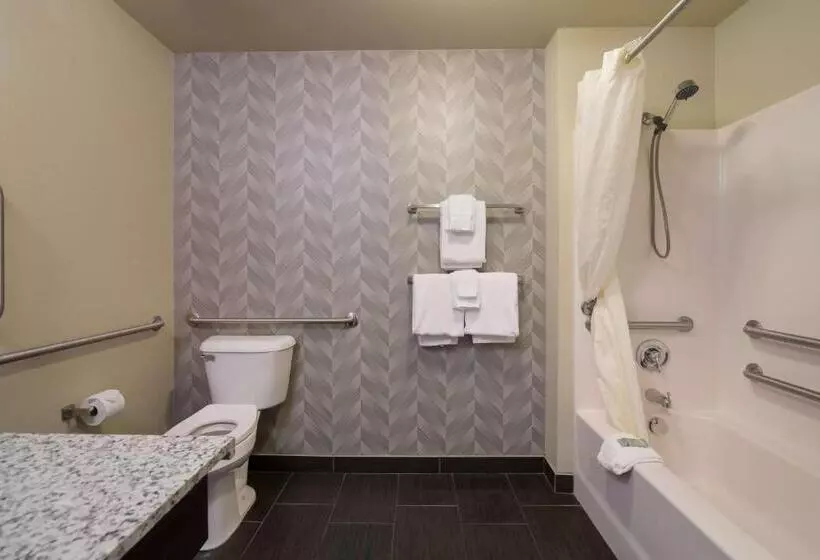 身障者適用スタンダードルーム, Best Western Roosevelt Place
