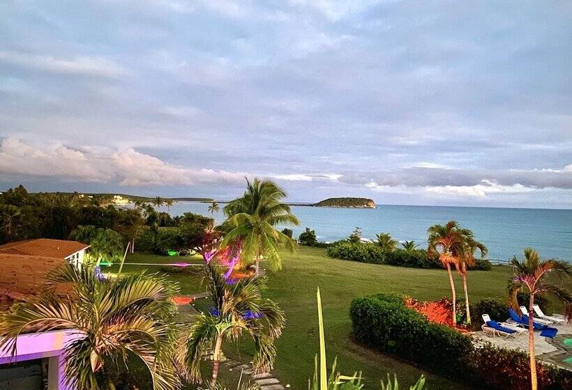 اتاق استاندارد با تخت بزرگ, Blue Horizon Boutique Resort