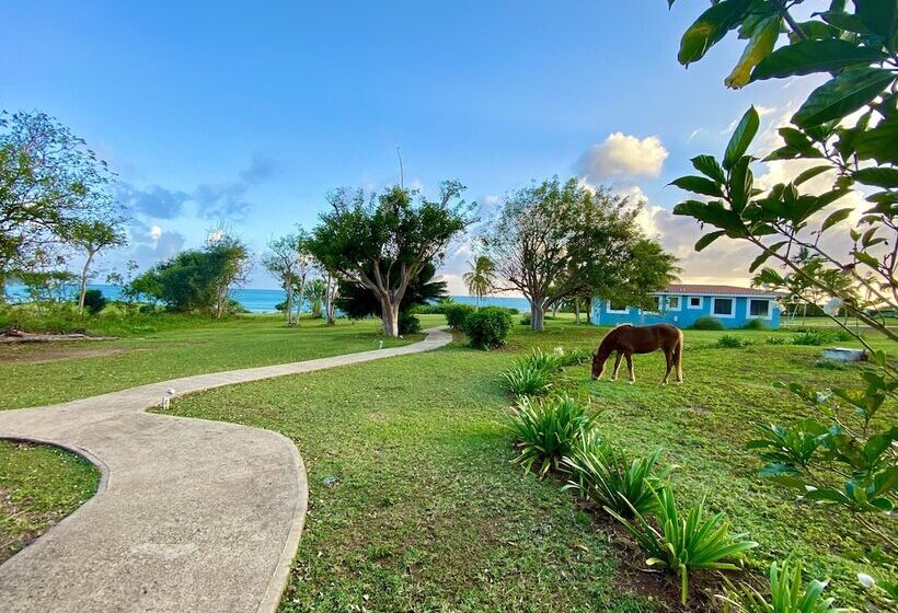 اتاق استاندارد, Blue Horizon Boutique Resort