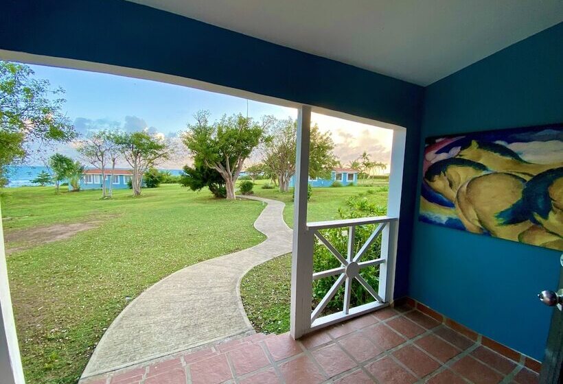 اتاق استاندارد, Blue Horizon Boutique Resort