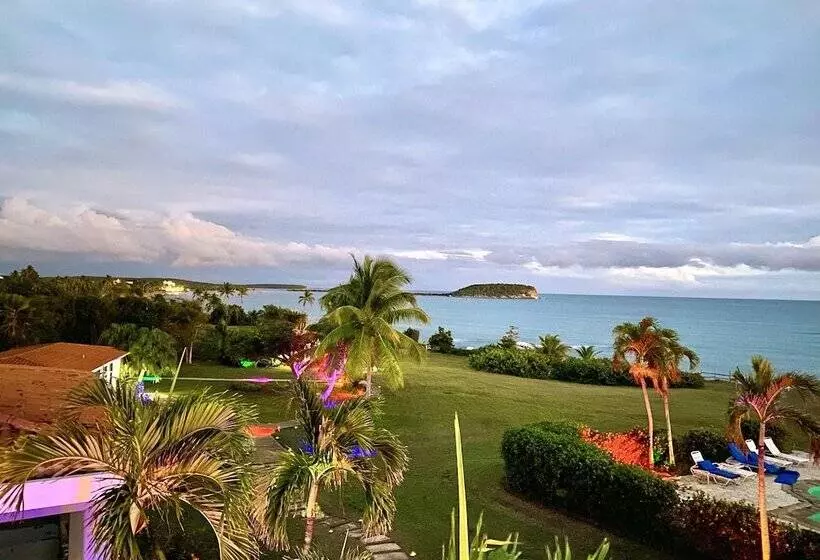 اتاق استاندارد با تخت بزرگ برای معلولان, Blue Horizon Boutique Resort