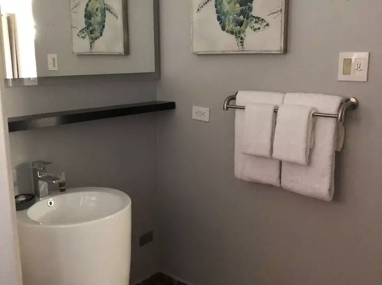 اتاق استاندارد با تخت بزرگ برای معلولان, Blue Horizon Boutique Resort
