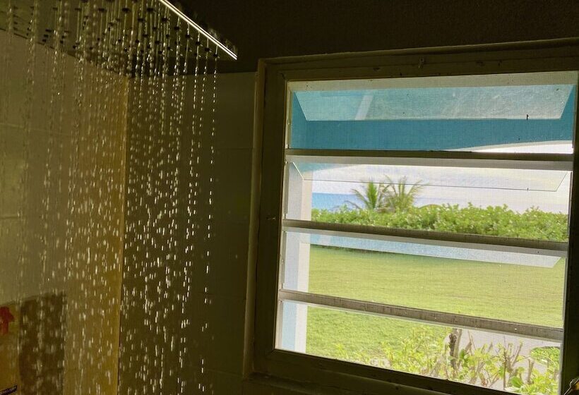 اتاق استاندارد با تخت بزرگ برای معلولان, Blue Horizon Boutique Resort