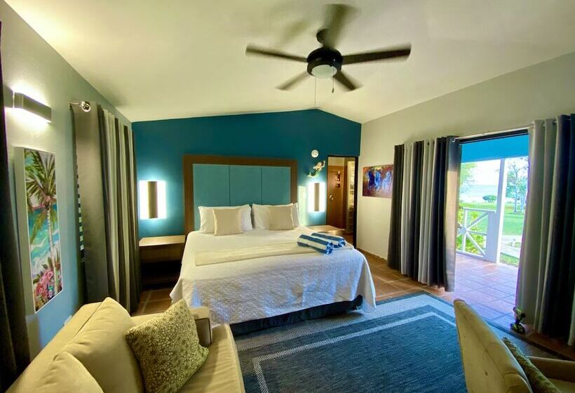 اتاق استاندارد با تخت بزرگ برای معلولان, Blue Horizon Boutique Resort