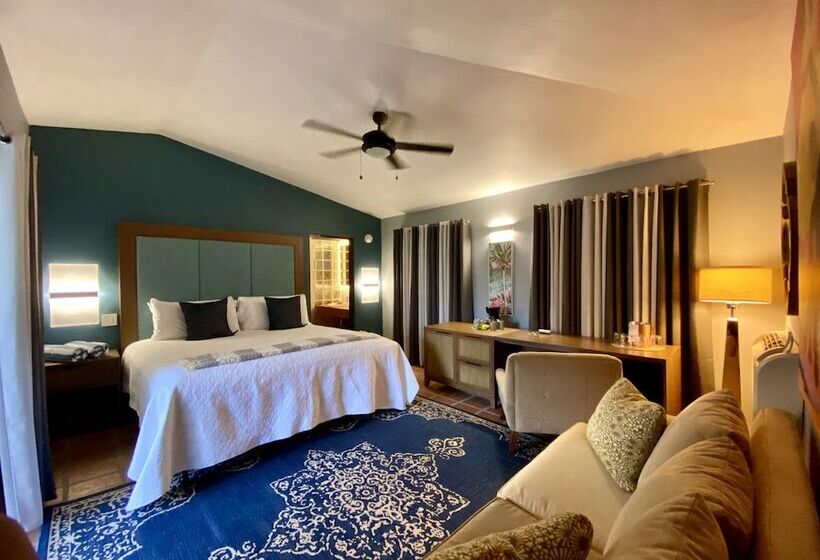 اتاق استاندارد با تخت بزرگ برای معلولان, Blue Horizon Boutique Resort