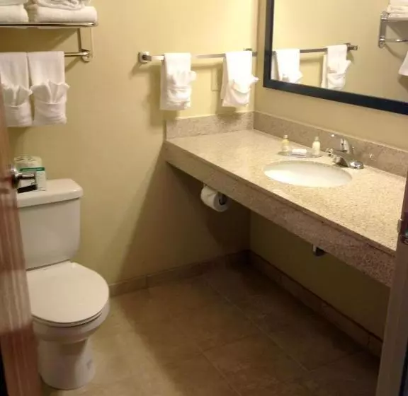 デラックスルーム, Cobblestone Hotel & Suites   Waynesboro