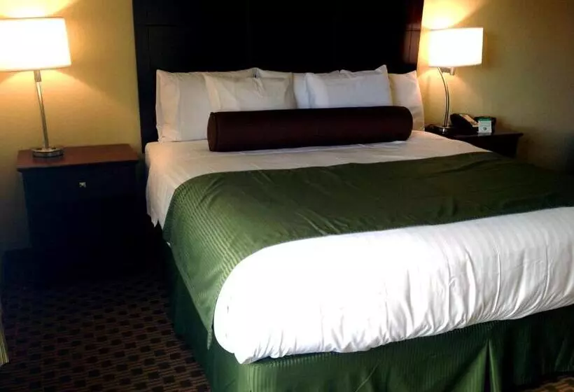 キングサイズベッドのデラックスルーム, Cobblestone Hotel & Suites   Waynesboro