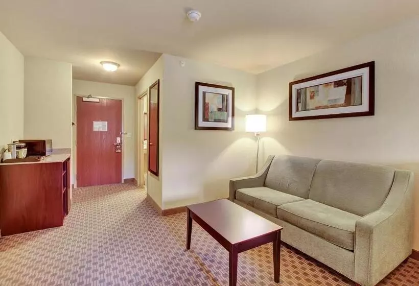 キングサイドベッドのスタンダードワンルーム, Cobblestone Hotel & Suites   Waynesboro