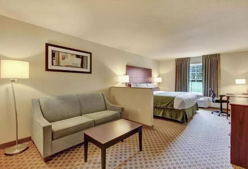 キングサイドベッドのスタンダードワンルーム, Cobblestone Hotel & Suites   Waynesboro