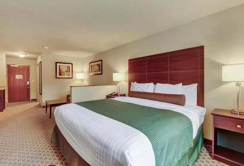 キングサイドベッドのスタンダードワンルーム, Cobblestone Hotel & Suites   Waynesboro