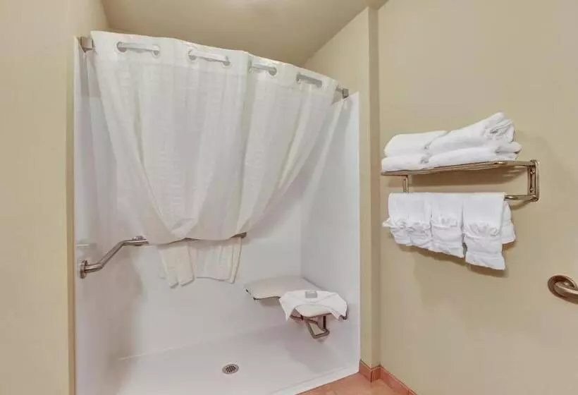 身障者適用キングサイズベッドルーム, Cobblestone Hotel & Suites   Waynesboro