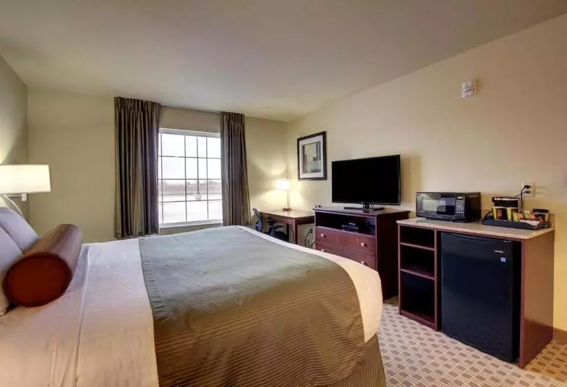 身障者適用キングサイズベッドルーム, Cobblestone Hotel & Suites   Waynesboro