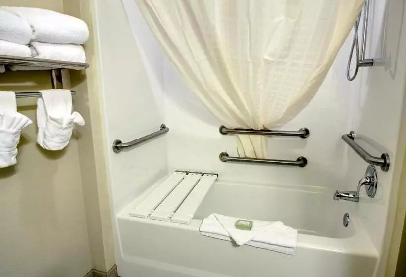 身障者適用スタンダードルーム, Cobblestone Hotel & Suites   Waynesboro