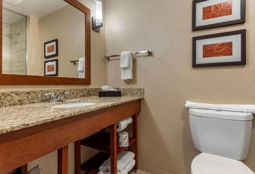 جناح سرير كينج, Comfort Suites Bridgeport  Clarksburg