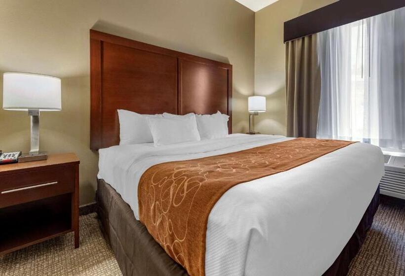 جناح سرير كينج, Comfort Suites Bridgeport  Clarksburg