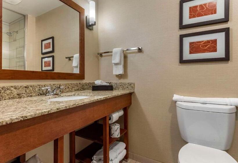 Люкс Кровать Кинг, Comfort Suites Bridgeport  Clarksburg