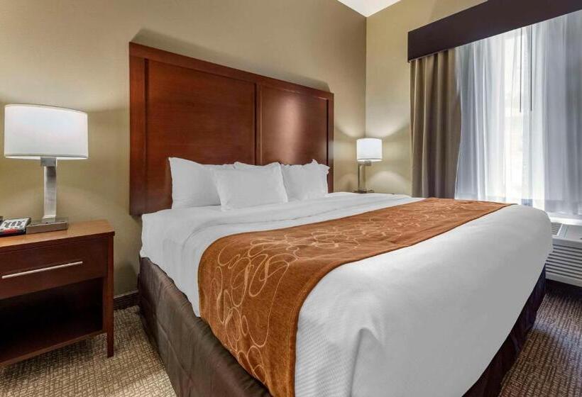 جناح سرير كينج, Comfort Suites Bridgeport  Clarksburg
