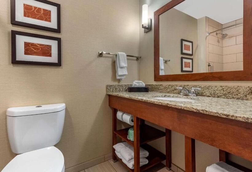 جناح, Comfort Suites Bridgeport  Clarksburg