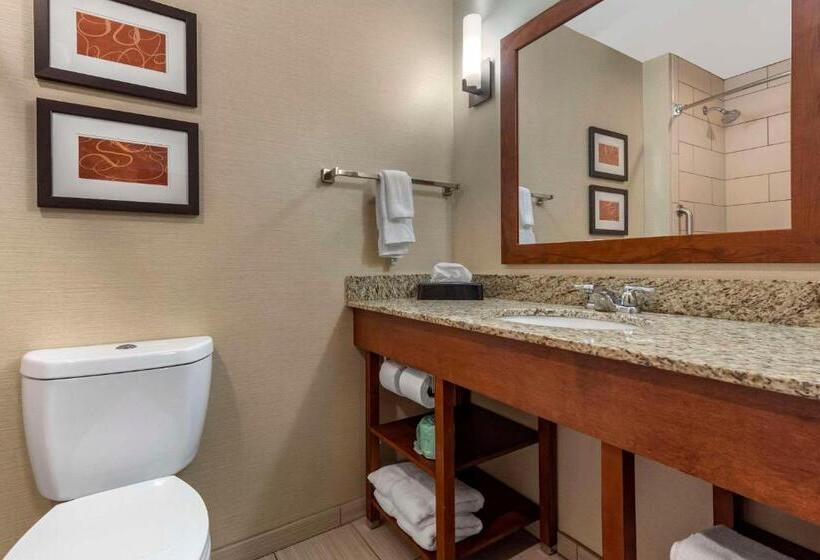 جناح, Comfort Suites Bridgeport  Clarksburg