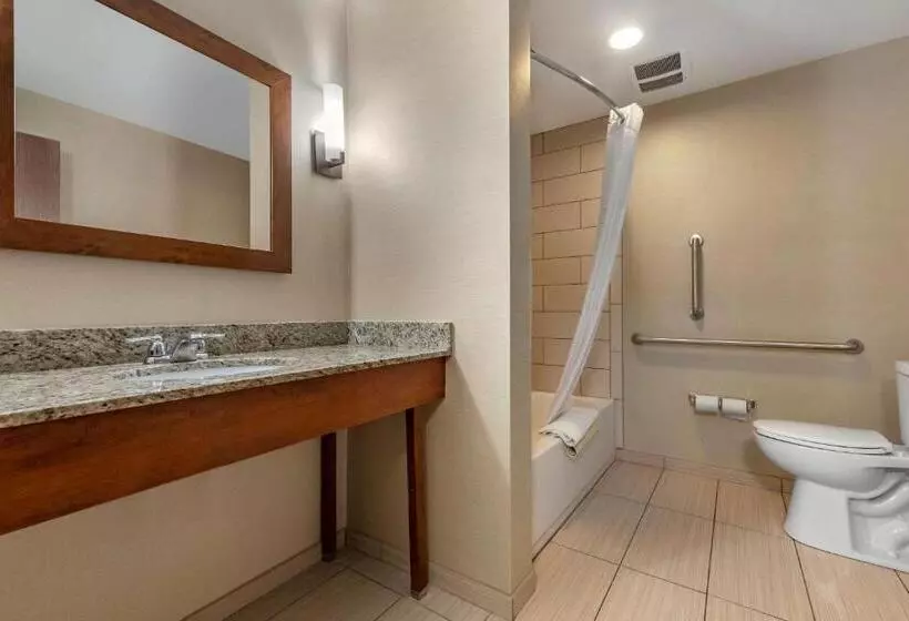 身障者適用スイートルーム, Comfort Suites Bridgeport  Clarksburg