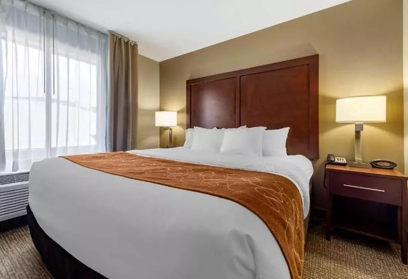 身障者適用スイートルーム, Comfort Suites Bridgeport  Clarksburg