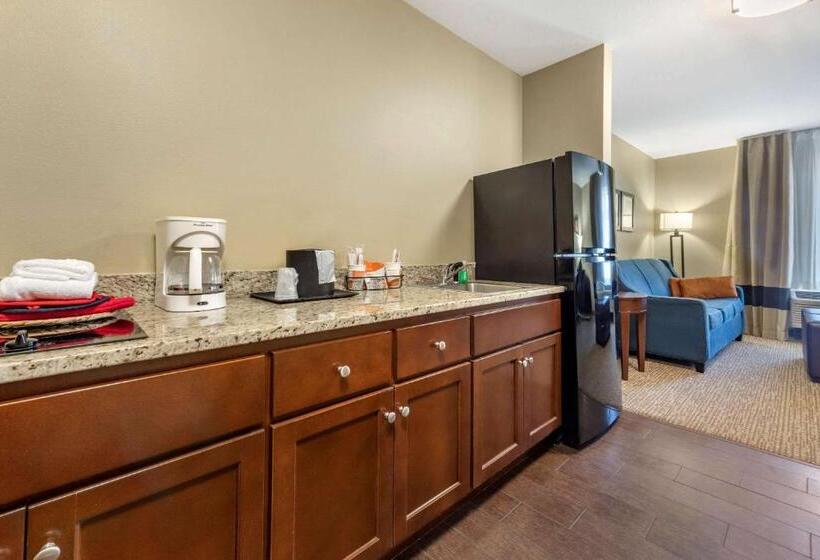 جناح لذوى الاحتياجات الخاصة, Comfort Suites Bridgeport  Clarksburg