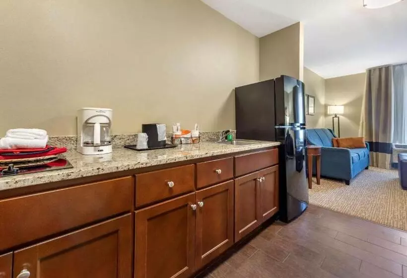 身障者適用スイートルーム, Comfort Suites Bridgeport  Clarksburg