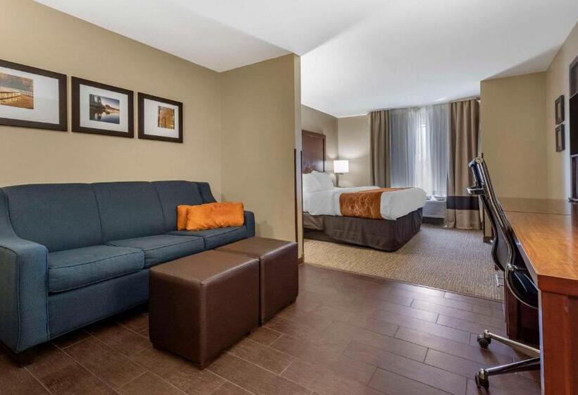 جناح لذوى الاحتياجات الخاصة, Comfort Suites Bridgeport  Clarksburg