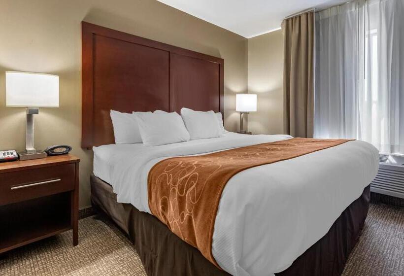 جناح لذوى الاحتياجات الخاصة, Comfort Suites Bridgeport  Clarksburg