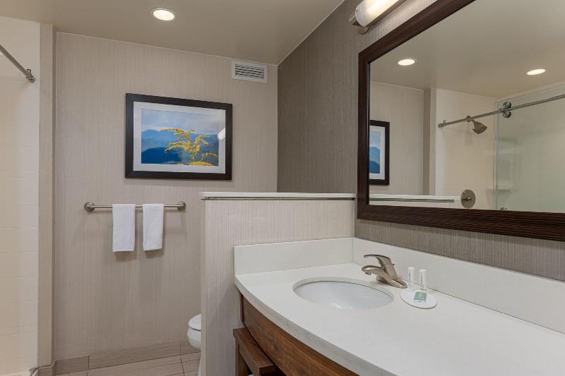 Стандартный Номер Кровать Кинг, Courtyard By Marriott Asheville Airport