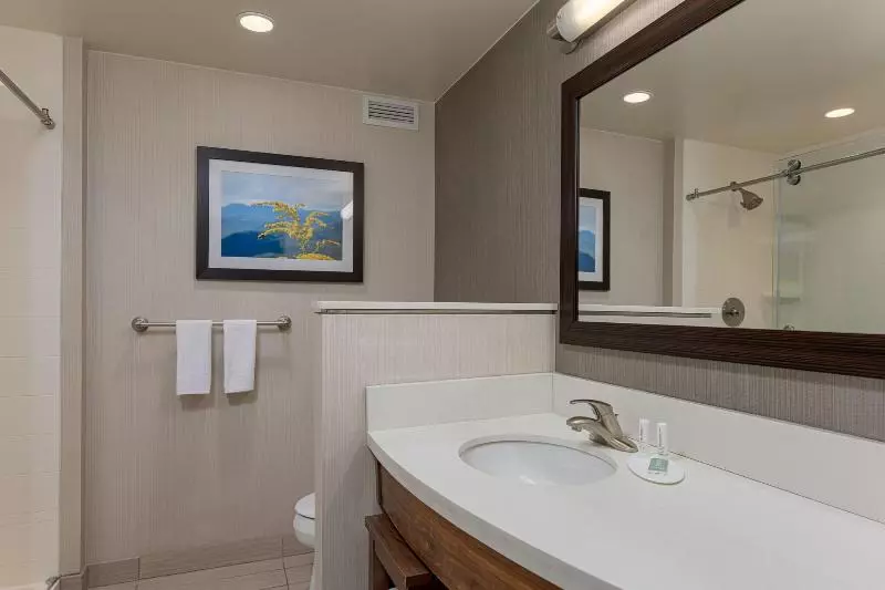 キングサイズベッドのスタンダードルーム, Courtyard By Marriott Asheville Airport