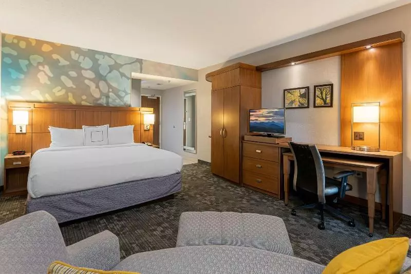 キングサイズベッドのスタンダードルーム, Courtyard By Marriott Asheville Airport