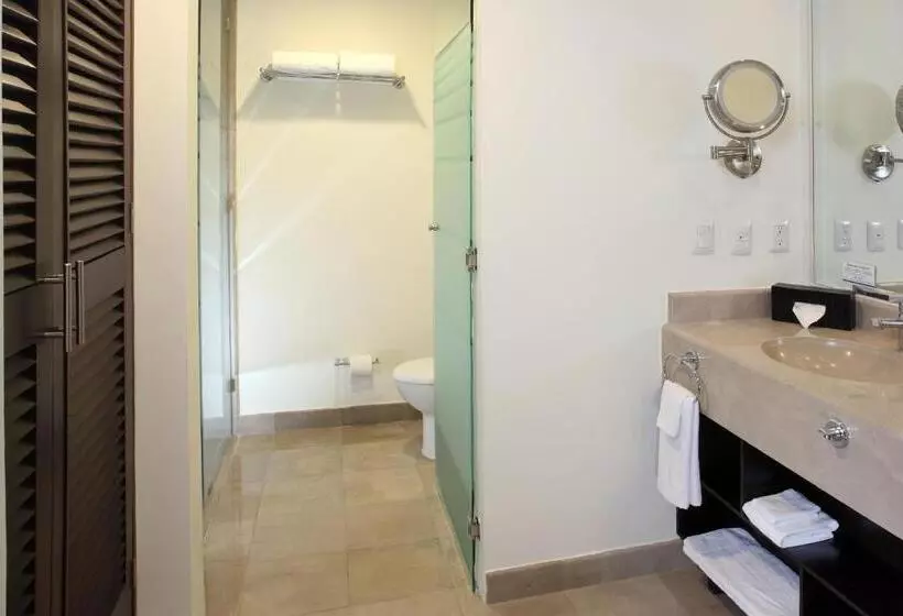 キングサイズベッドのスタンダードルーム, Four Points By Sheraton Veracruz
