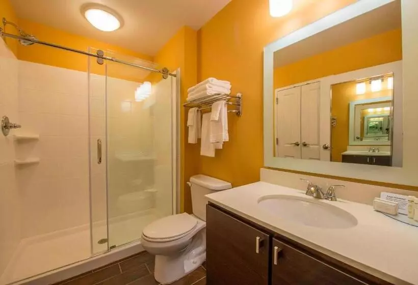 キングサイドベッドのスタンダードワンルーム, Towneplace Suites By Marriott Newnan