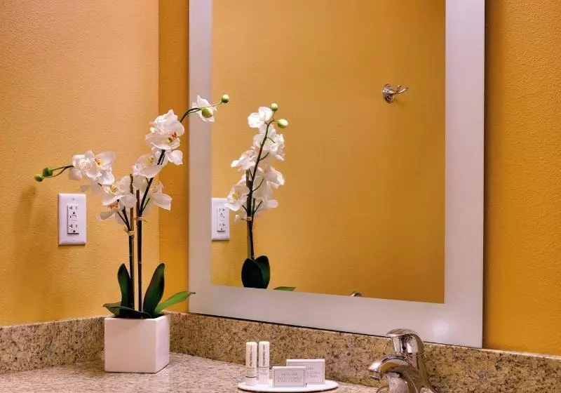 キングサイドベッドのスタンダードワンルーム, Towneplace Suites By Marriott Missoula