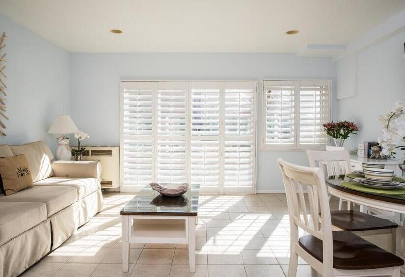 سوییت, Venice On The Beach