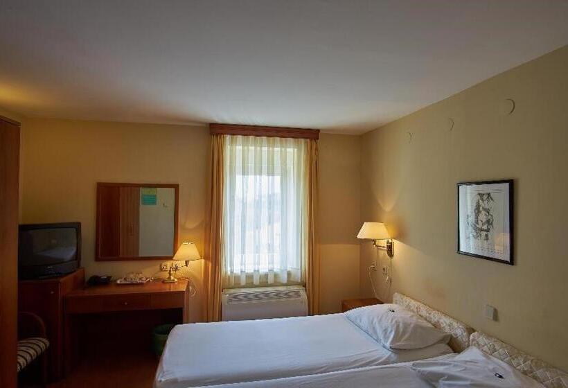 스탠다드 룸, Vila Ružica Glavna Zgrada I Depandanse