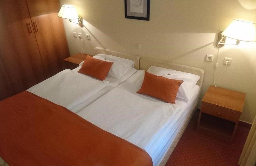 스탠다드 룸, Vila Ružica Glavna Zgrada I Depandanse