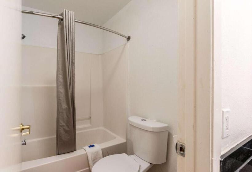 חדר סטנדרט, Motel 6 Seguin Tx